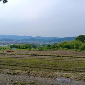 いい場所なのに人気はない