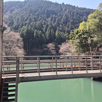 実はダムの渡れる場所分からなくて右往左往したw