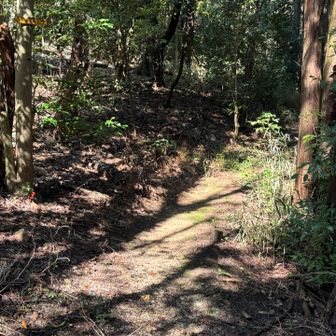 山口神社の横の道に合流