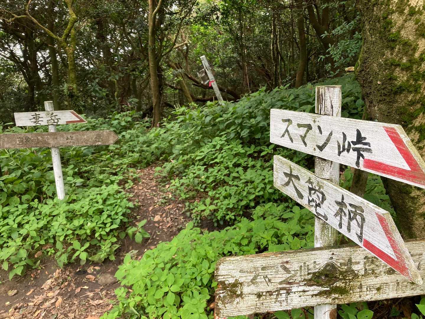 足場ビッチョ💦なので、今日は妻岳ピストンでスマン🙏