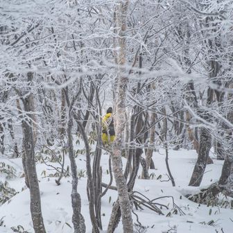 先行者とすれ違う
