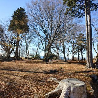 本丸付近は広々、落ち葉フカフカ