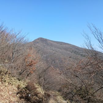 荒山を振り返って