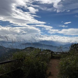 ススキの向こうの山々。雲海を見ることができた