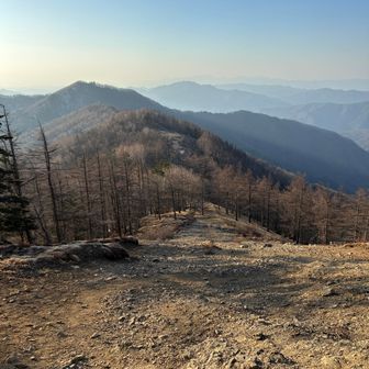 ヨモギノ頭より