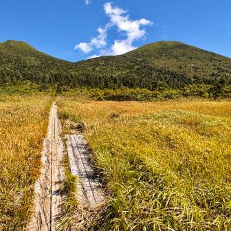 草紅葉🍁の木道を歩いて振り向いたら、大岳(右)と赤倉岳(左)