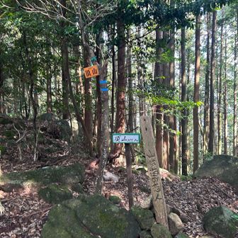 そして山頂
「山は海の恋人❤️」、まぁそうかもね😆