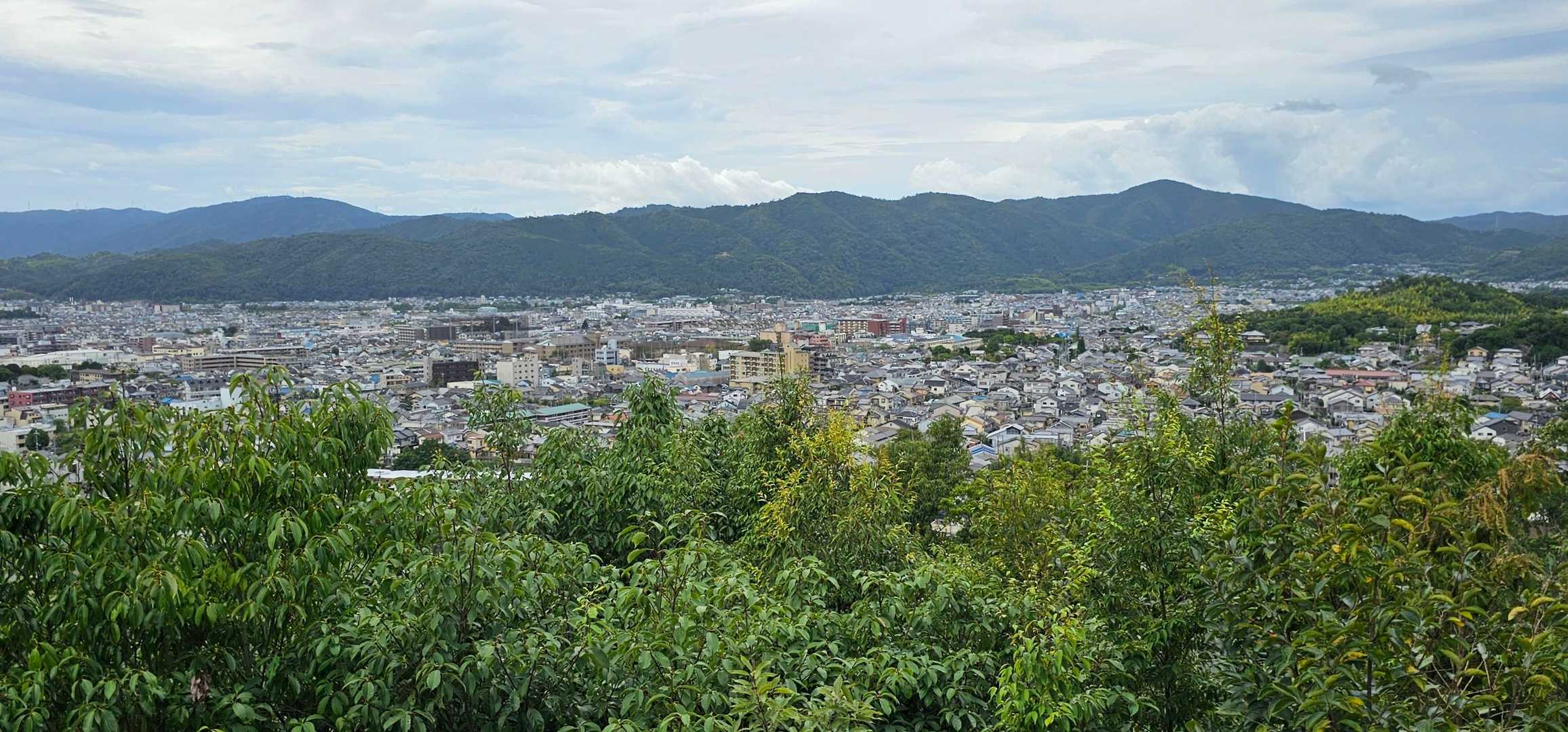 ここからの眺望
