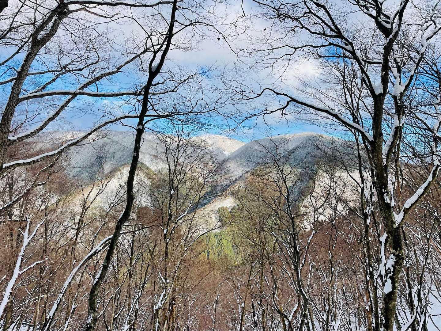 青い空と雪山が綺麗です🤩