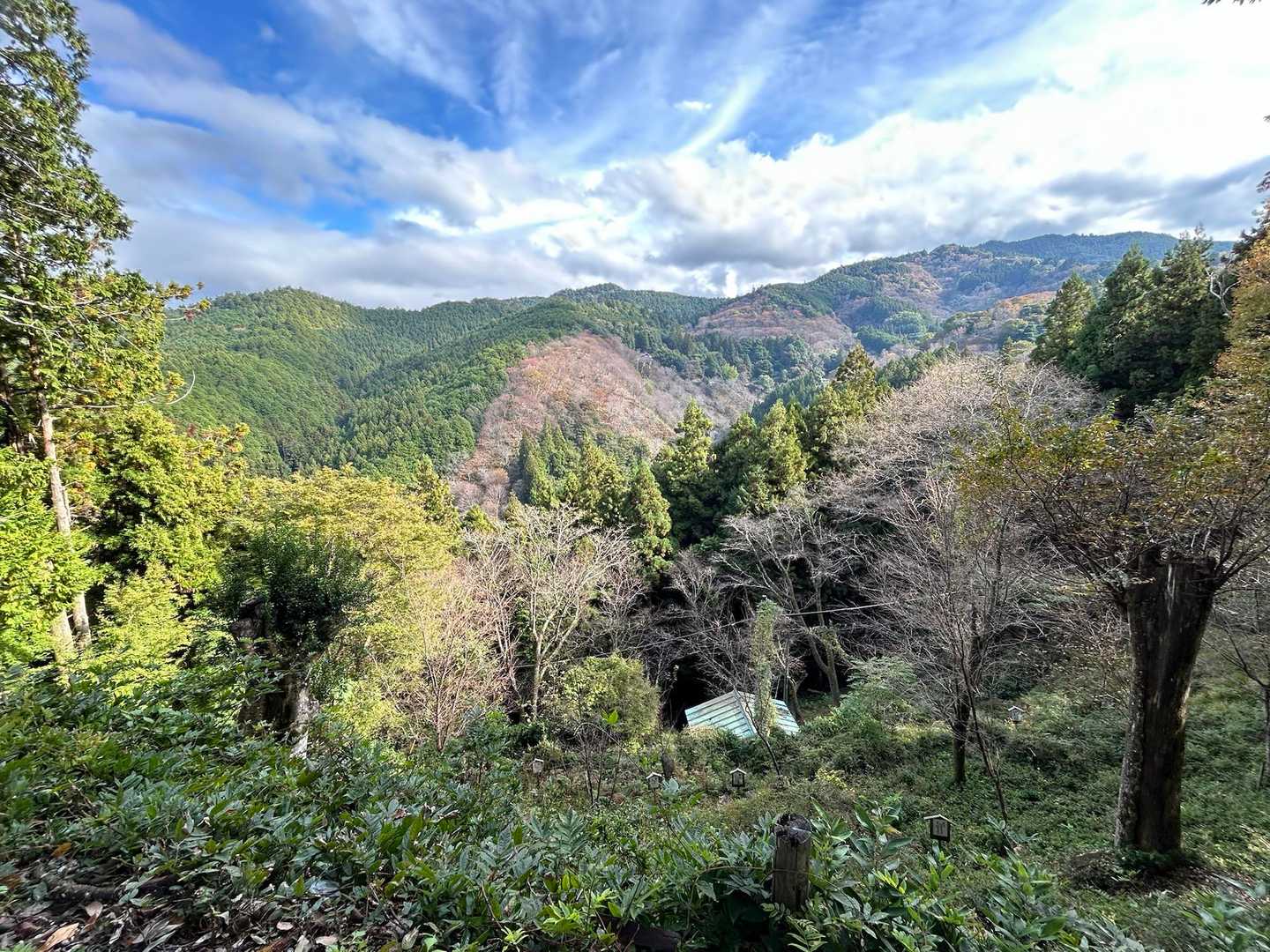 眺望ー✨　いい景色✨

桜の植えてある場所だけ、紅葉終わってて茶色いわ〜😅