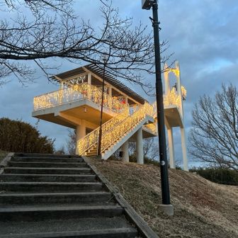 イルミネーションが光ってる💡