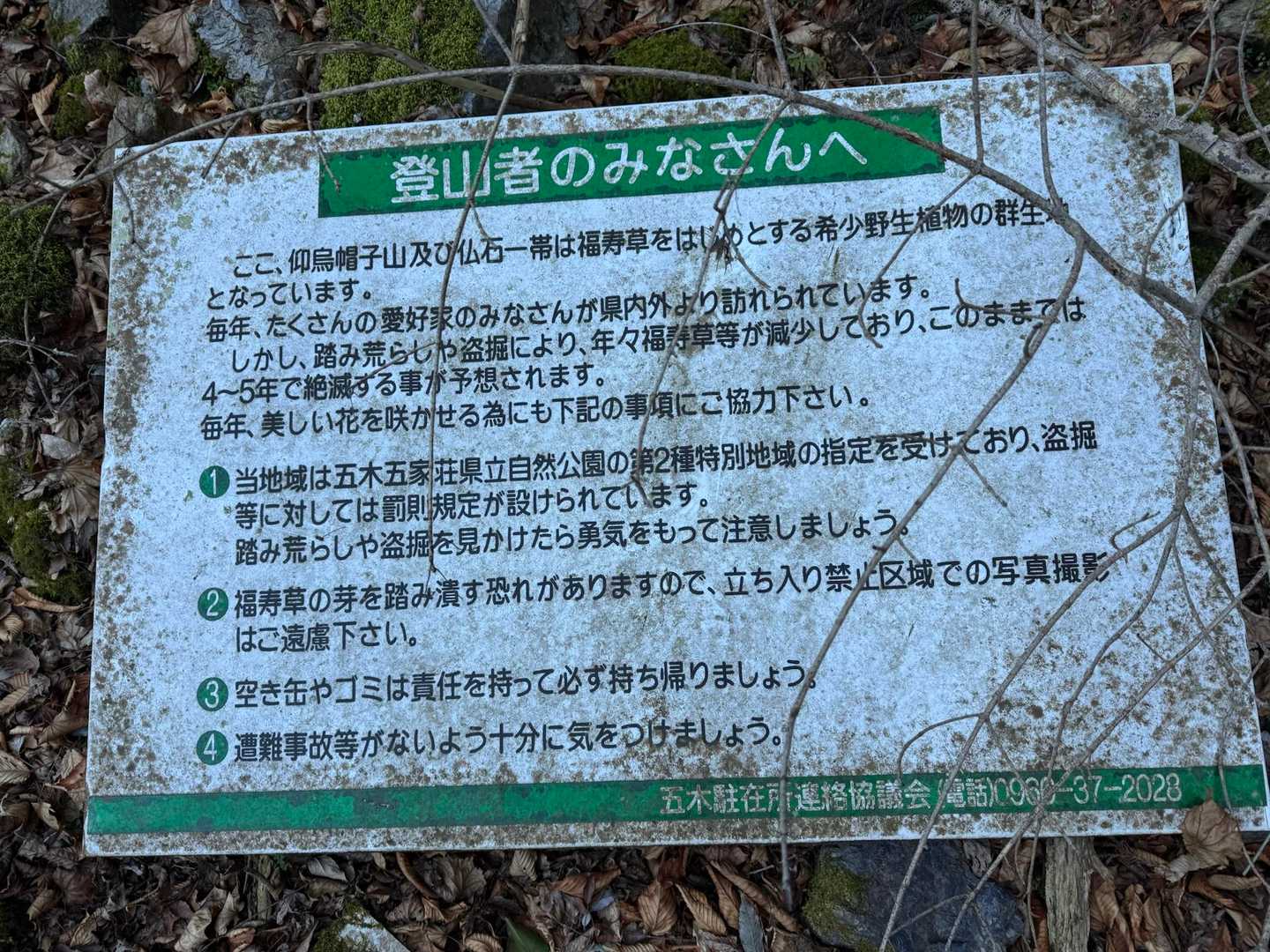 福寿草の盗掘も
あったみたいです。
悲しい…
森を大切にしましょうね。