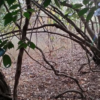 槇ノ尾山山頂かな