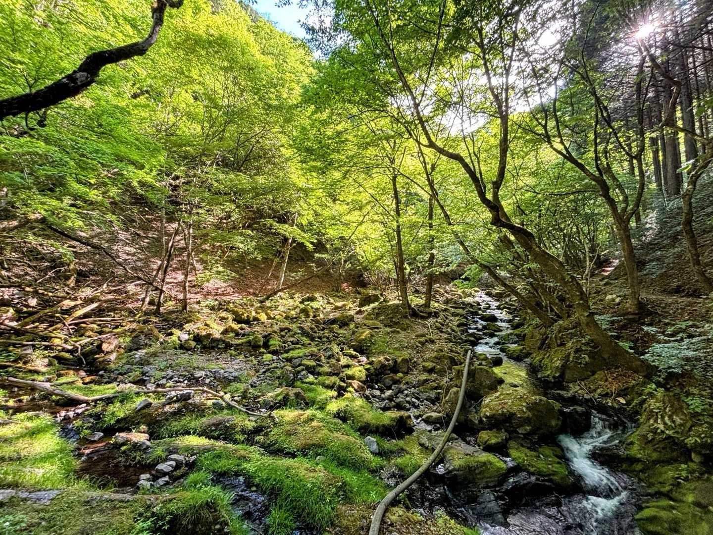 なにこれ
すばらしい
住める
住まないけど