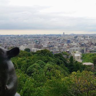 枡形山展望台からの景色、なかなかでした♡

今回は、川崎にもこんな自然があったのか💡な、意外な一面を知るお散歩になりました。
『風俗・ギャンブル・公害』だけじゃなかったょ。
ちなみにわたくし、ひっそりとウン十年、川崎市に税金を搾取される身でございます…🙈


本日もどうもありがとうございました😊💚🎶