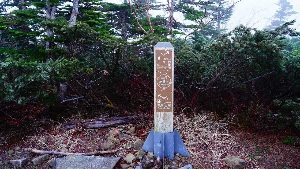 本谷山の写真