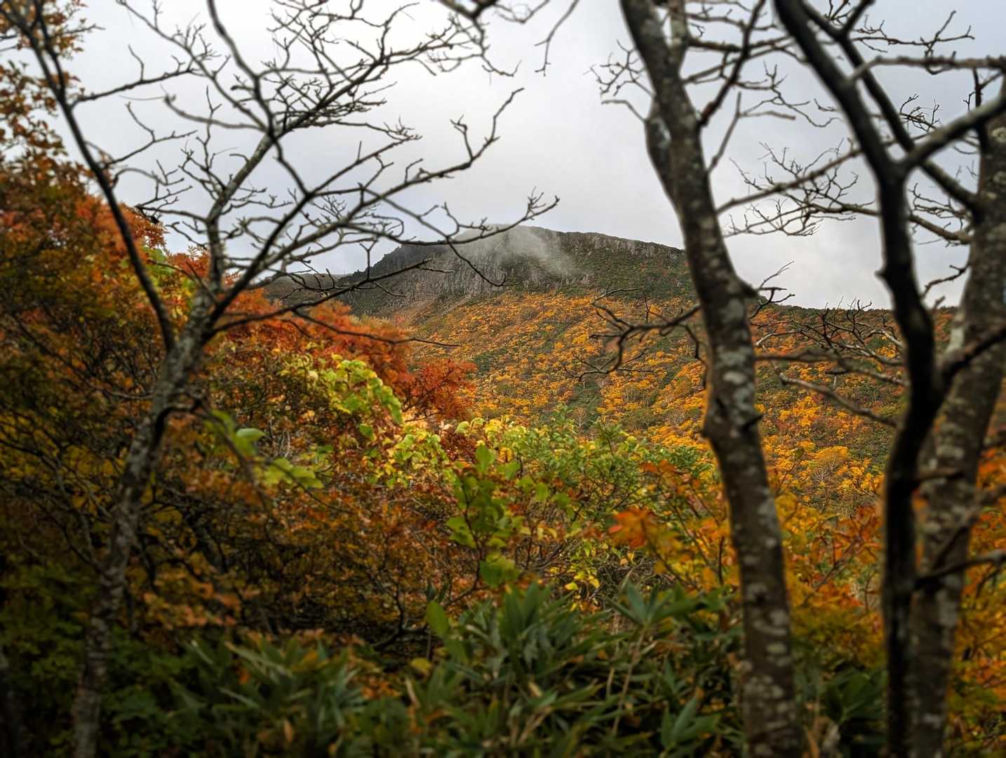 北側の岩斜面、紅葉が見事