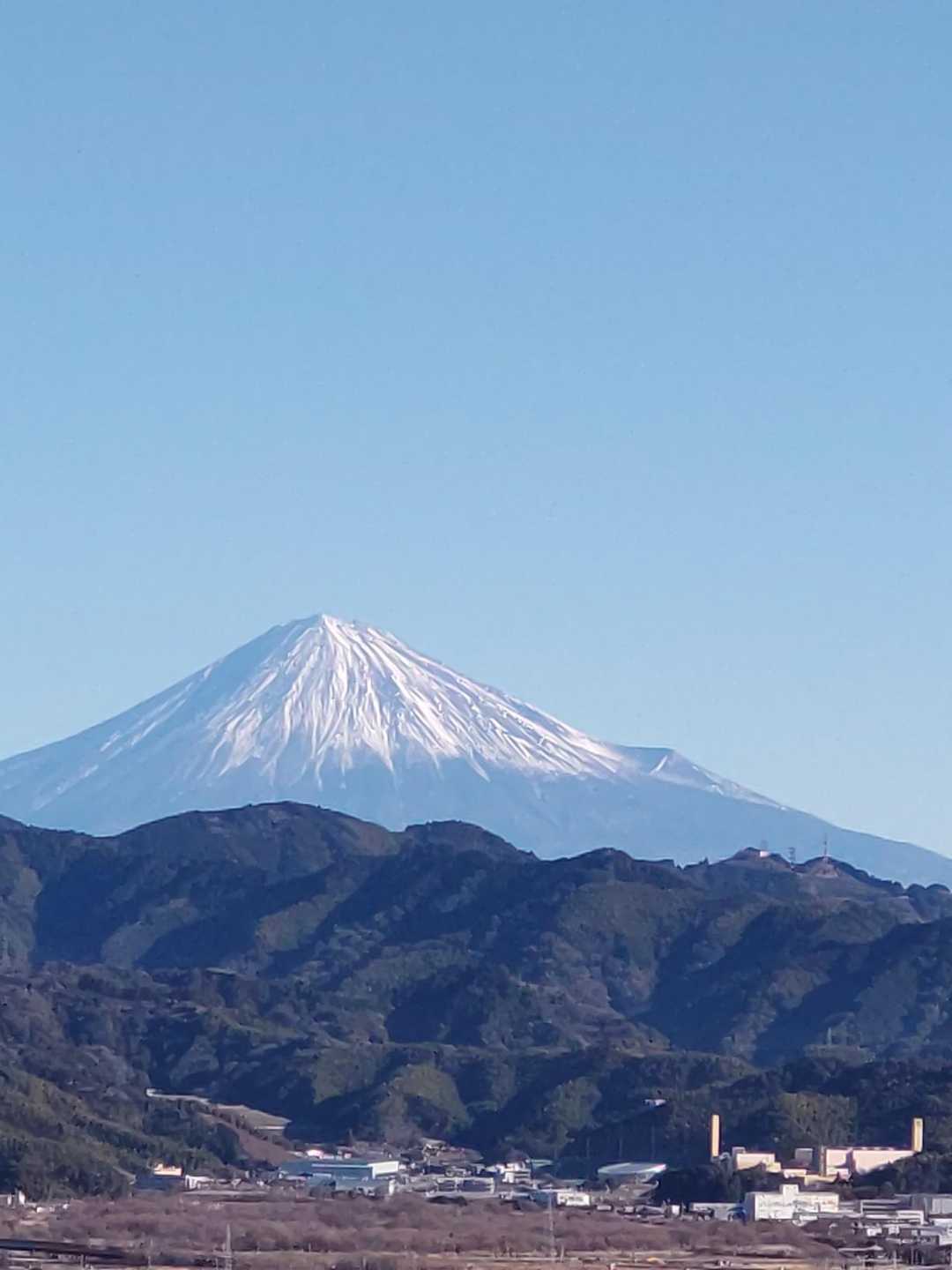 浅間山-賤機山-茶臼山-福成山 往復コースの写真