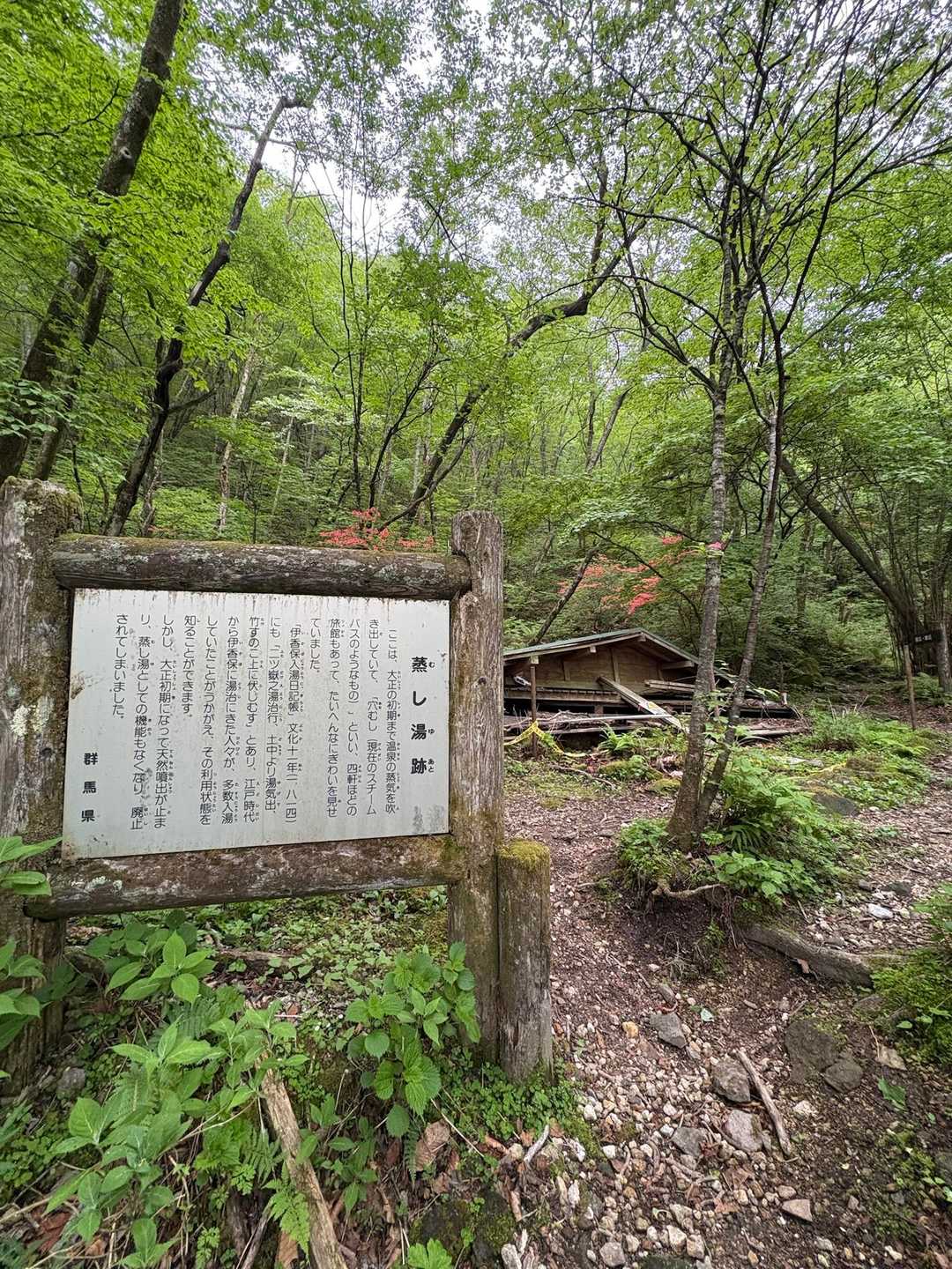 蒸し湯♨️跡まで来ました