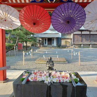 花手水
はなちょうず
生花で彩り鮮やか💞