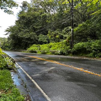 秋川街道を横断して