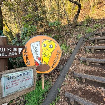 この冬に設置された？かわいい看板