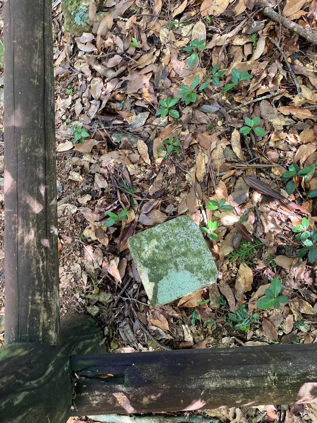 三角点