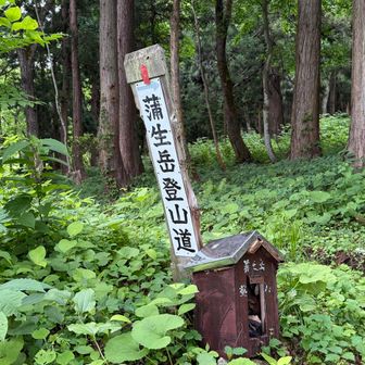 すぐ登山道入り口
