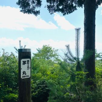 富士山不在