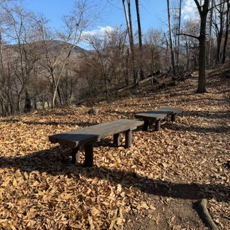 所々、ベンチもありました