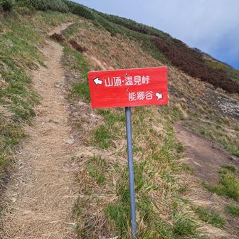 分岐
