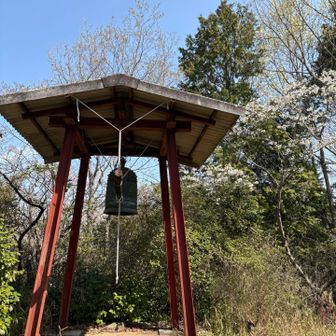 舗装路から階段を上がってみた