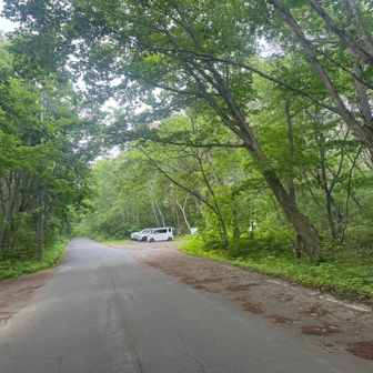 鏡池の真正面に戸隠連山を望むのに、それと並走する車道を歩いて西岳登山口へ。
既に車が数台停まっていて驚いた。
予報はずっと☔️マークがついていて、この日、日中が晴れと分かったのは週末になってからだったので・・・西岳のような険しいと評判の山は入山者が少ないと思って・・・有明山のようにひとり旅も覚悟してきただけに嬉しさも感じた。
実際、山で何度か言葉を交わした方もいて心強さも感じた。
一方でガイド登山者もいて・・・ガイドを頼むような人は本当にど素人だと感じた。中級者くらいの実力があれば自力で登れるのかもしれないが・・・それにしても、こういう山に来てはいけないレベルの人ばかりが、ガイド登山者で、数十秒で登り降り出来る場所を数分かけて通過しているのだから、体力的な消耗も大きいだろう。
もっと日差しが照り付けるような日であれば消耗しきって動けなくなることもあるだろうから、お金を払うといっても門前払いした方がよい気がしたが・・・ガイドさんは担いで降りることも含んで引き受けているのだろうか？