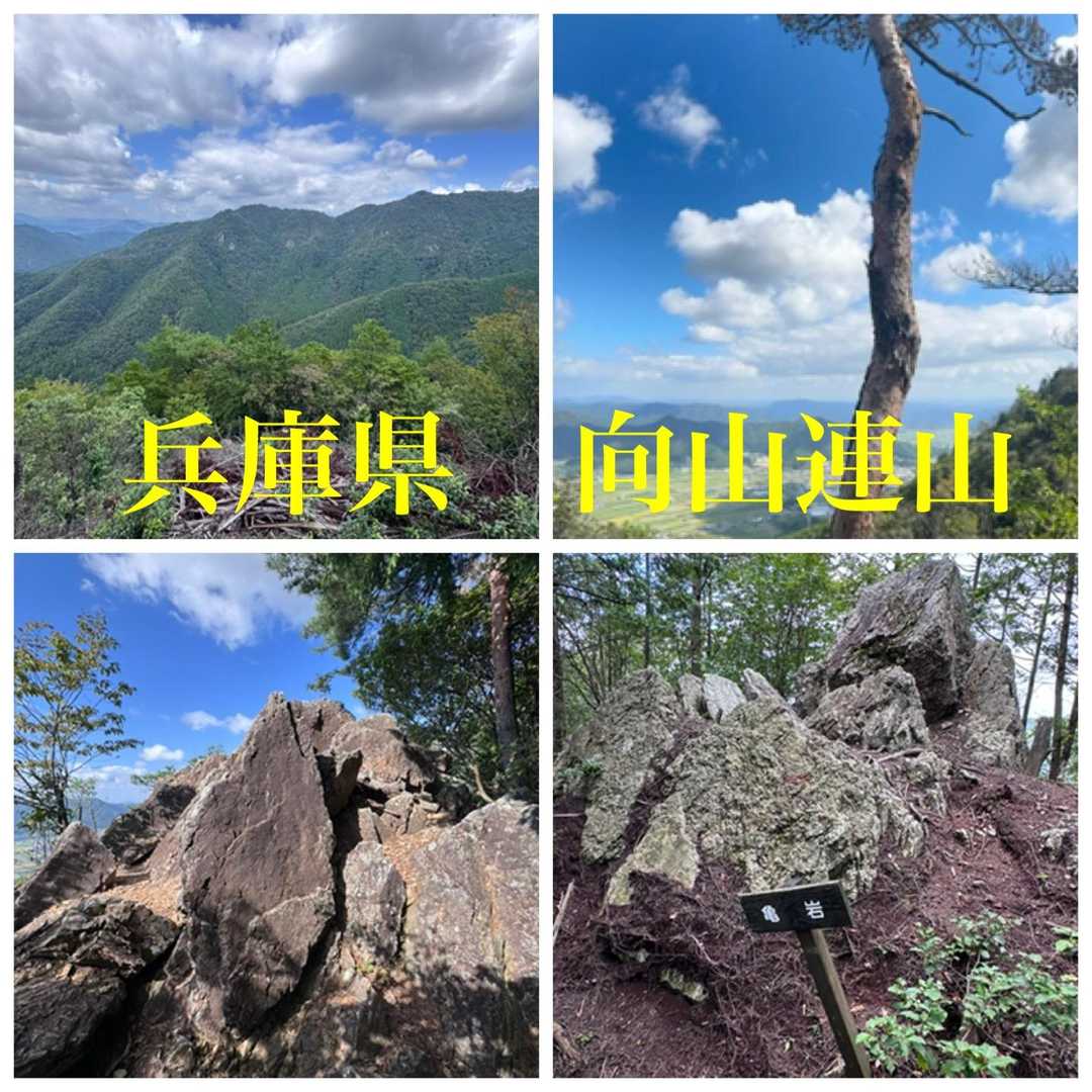 ニの山（兵庫・298m）| 登山ルート・天気 | YAMAP / ヤマップ