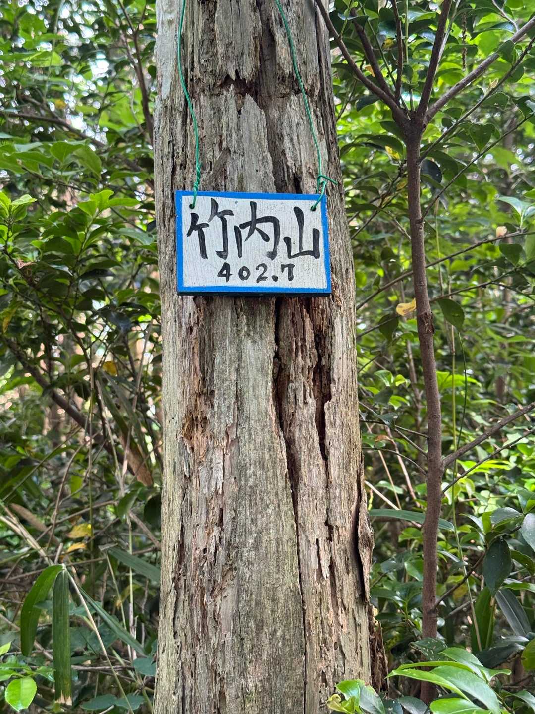 竹内山山頂一度来たかった。