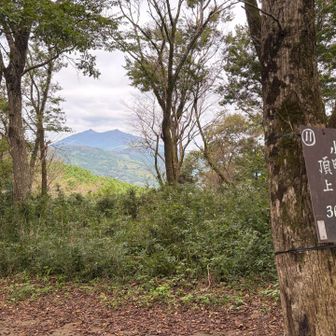 小町山山頂、小さく筑波山が見えた！