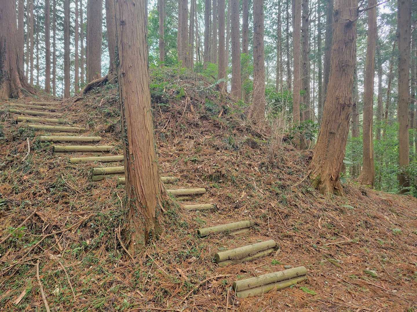 猪倉山に行くには手前の階段は登らず、奥にある登山道を行きます🚶‍♂️