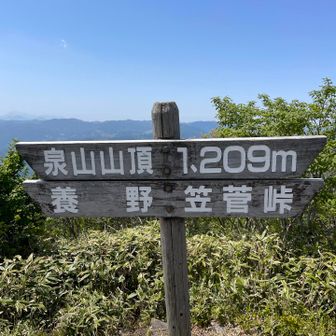 1209メートル