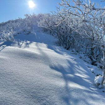 ノートレースの綺麗な雪❄️