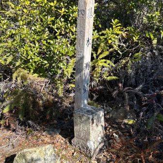 四等三角点上三草のあるピーク