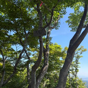 御堂山に寄って