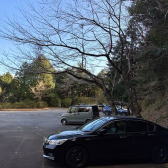 散策路が終わると、駐車場に直結です！