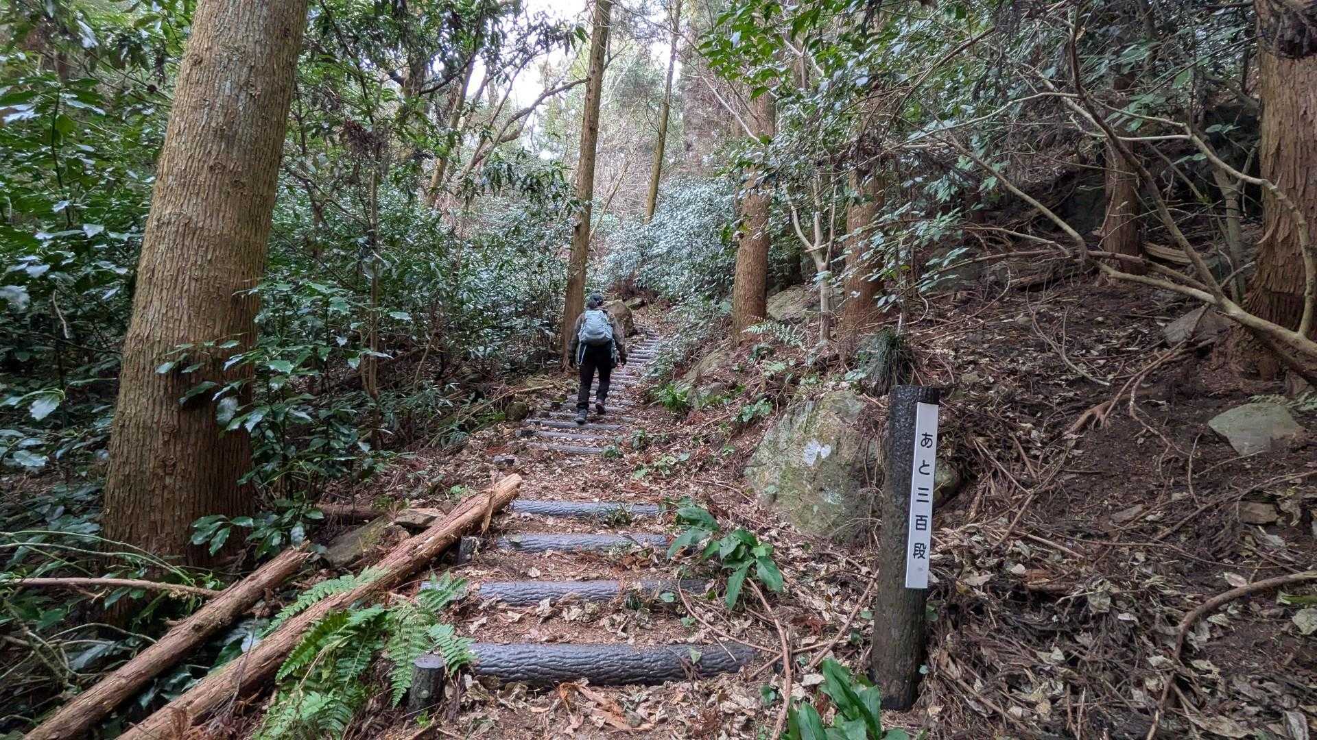 あと300段！
もう息が上がりそう笑