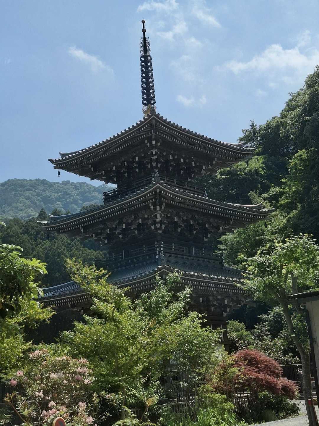 ヤビツ峠-大山-見晴台-日向薬師バス停 縦走コースの写真