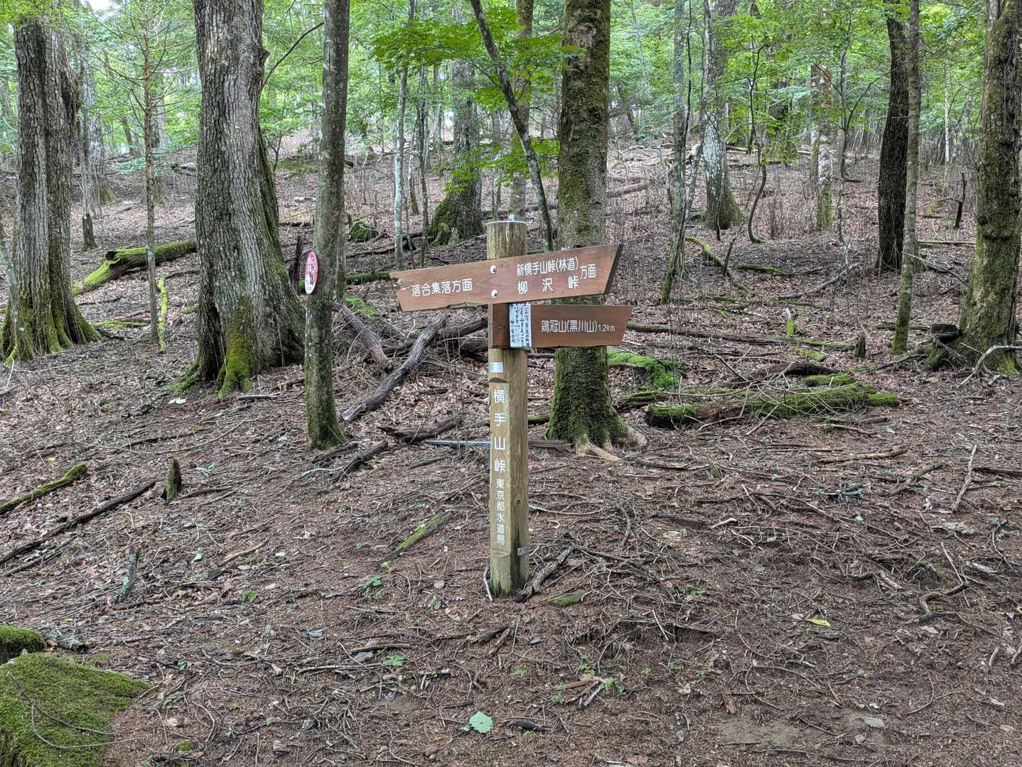 横手山峠　本家のほう😊
ここから鶏冠山へは、延々と緩く登っていきます