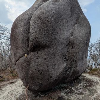 桃岩。立てたのどら焼き