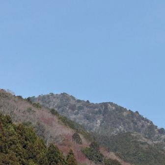 登山口あたりから見えた白髪岳（たぶん💦）