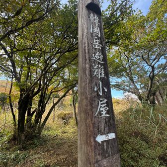 小屋🛖には休憩せずに周ります