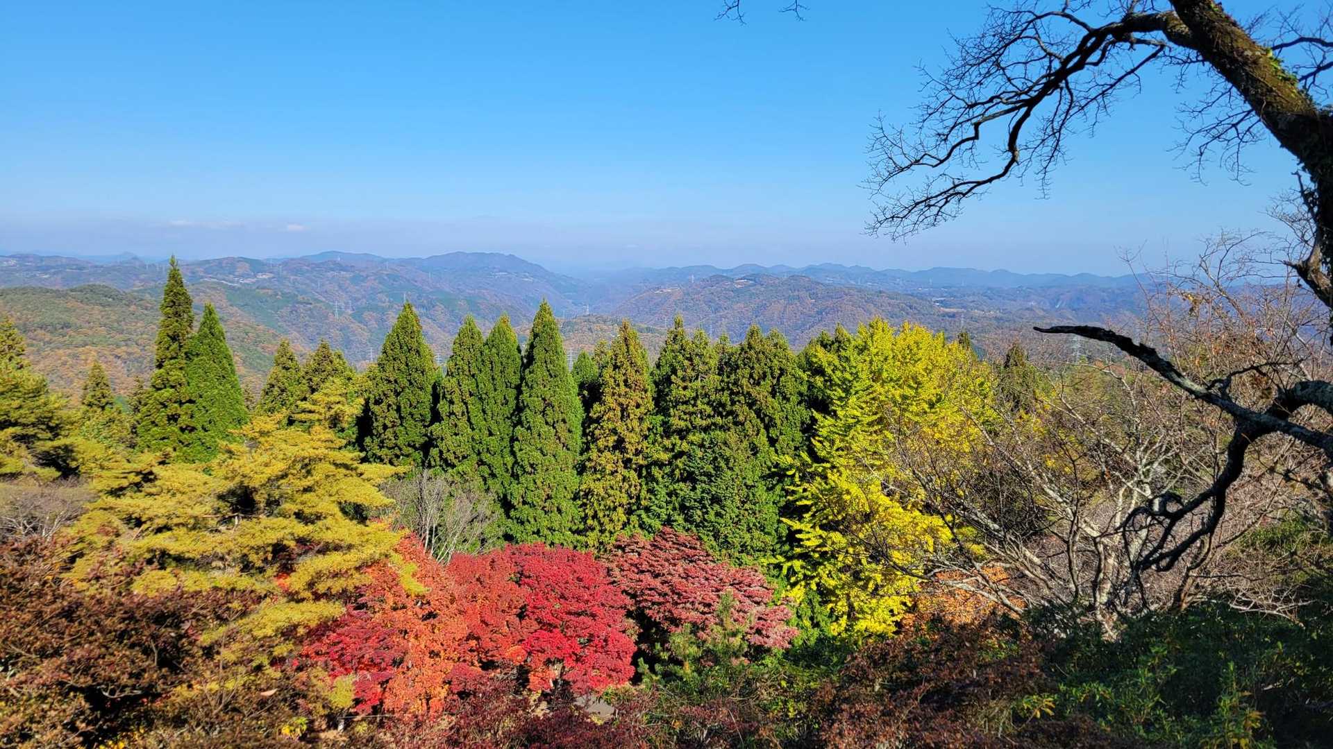 こちらの景色も美しい💚💛💜