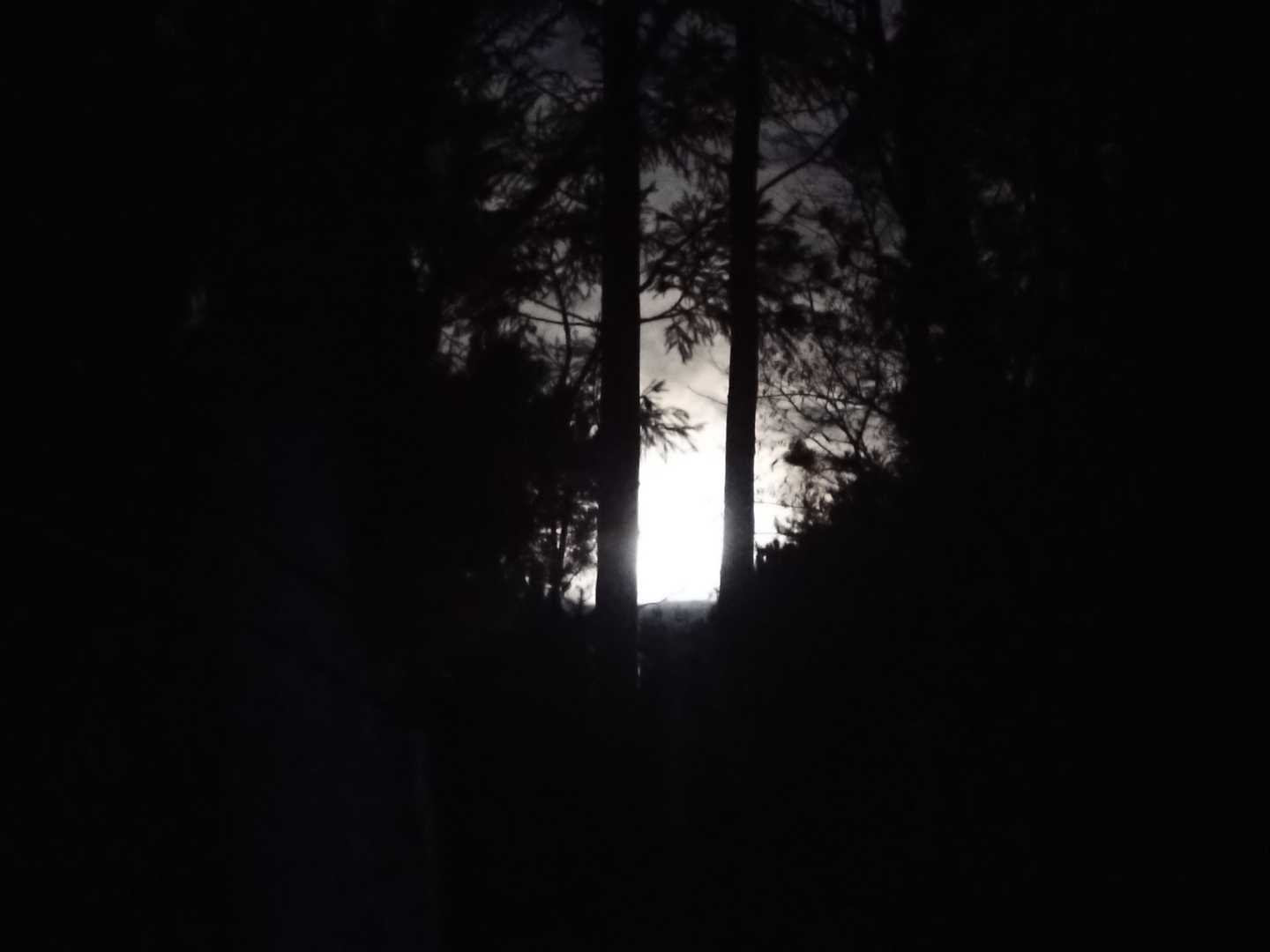 ムーンライト
この日は満月で夜中でもめっちゃ明るかったです